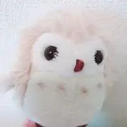 ぽこの画像