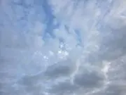 らじゃりんこの画像