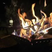 ぺんぎんの画像