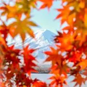 あき。プロフ必読