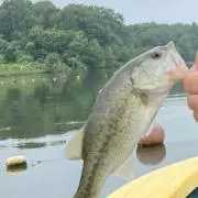 ヒゲメガネ