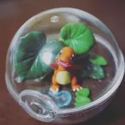 ヒトカゲの画像