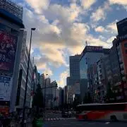 ziziの画像