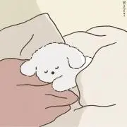 ꗯ̤̮の画像