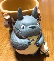 よっこの画像