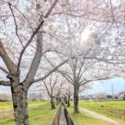 TaTsuKi⚠プロフ必読⚠の画像