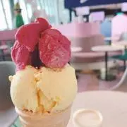 かもめの画像