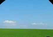 D Iの画像