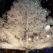 nana☆の画像