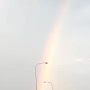 み☆SDGsの画像