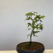 達海