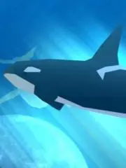 なんてん