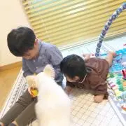 an＊dyの画像