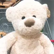 riisaの画像