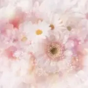 ふらわー❀*♫の画像