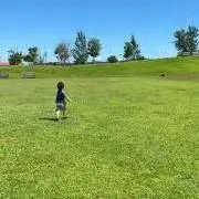 そうゆず