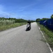 べりーばっどの画像