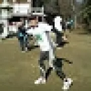 ブヨの画像