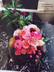 ポピーの画像