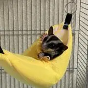 ちやんままの画像