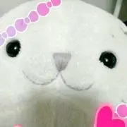 ぴーこぽーこ