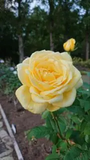 陽だまりの画像