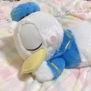 saaya☆の画像
