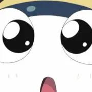 Dの画像