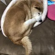 おそらの画像