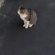 優人