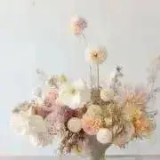 Ha※プロフ必読でお願いします。の画像