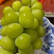 tの画像