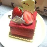 断捨離中