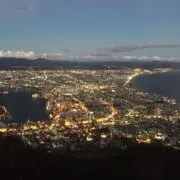 まりもの画像