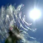 Sumiの画像