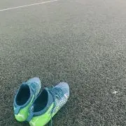 今津のジャイの画像