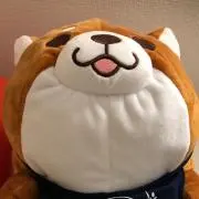 ssの画像