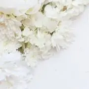 haの画像