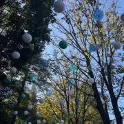 misukeの画像