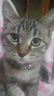 ぉみき