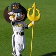 ネッピーの画像