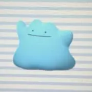 たーちの画像
