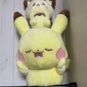 ピカシオの画像