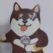 kopachiの画像
