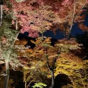 晴真です。
