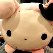 まっちゃの画像