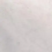 たむの画像