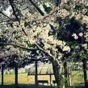 28日から7月1日まで発送出来ませんの画像