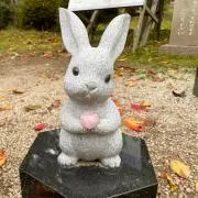 紅子の画像