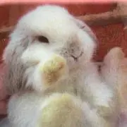 なっちゃん